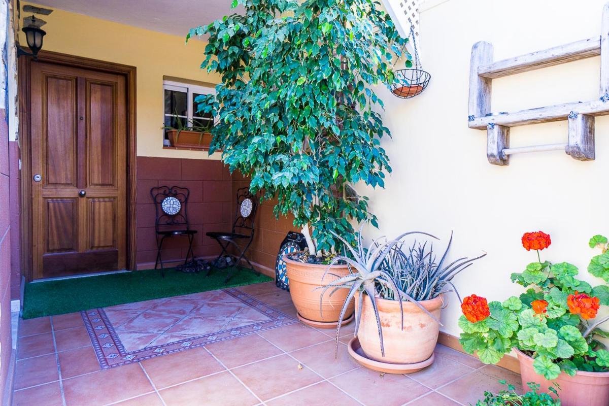 Rooms In El Medano Dış mekan fotoğraf